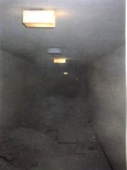 foto (252)  IMAGEN FOTOGRAFIA